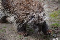 Zoologischer Garten Magdeburg