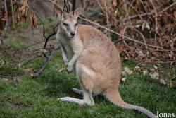Zoologischer Garten Magdeburg