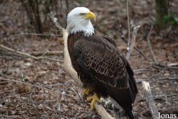 Queens Zoo