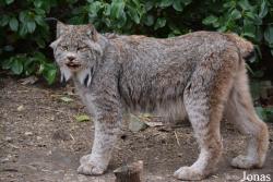 Queens Zoo
