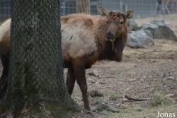 Queens Zoo