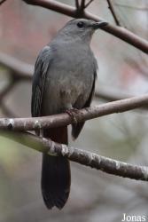 Queens Zoo