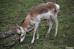Queens Zoo