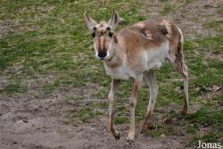 Queens Zoo