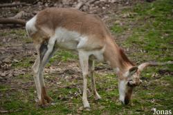 Queens Zoo