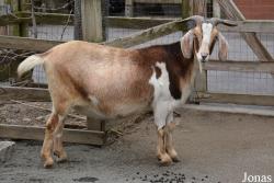 Queens Zoo