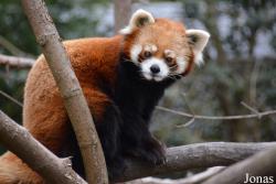 Prospect Park Zoo