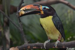 Prospect Park Zoo