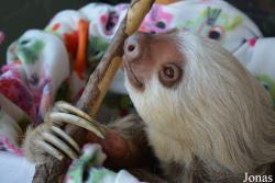 Staten Island Zoo