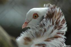 Tierpark Bad Pyrmont