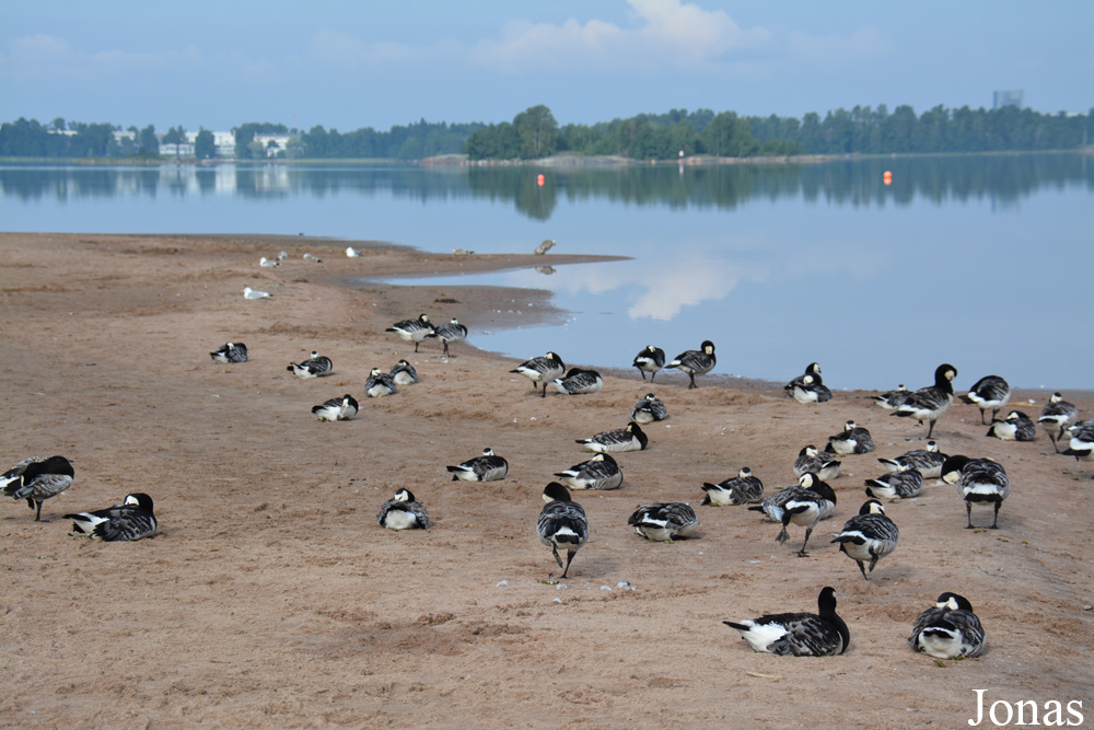 Helsinki