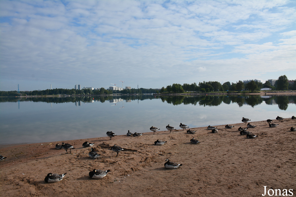 Helsinki