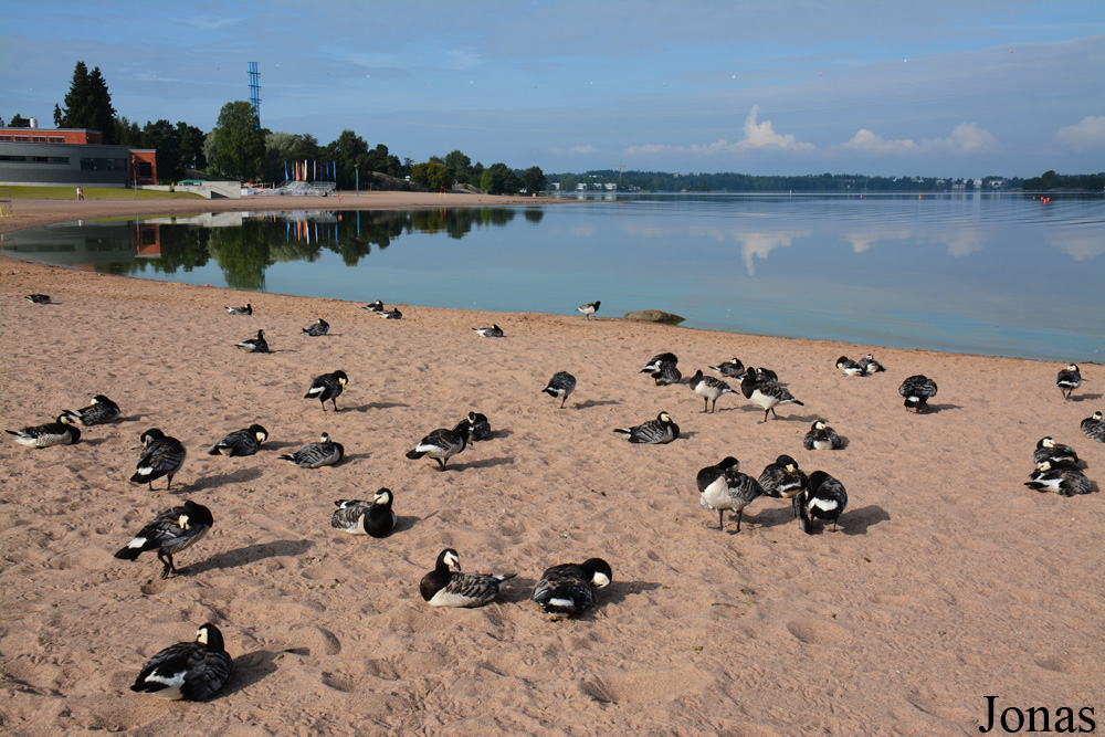 Helsinki