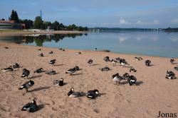 Helsinki