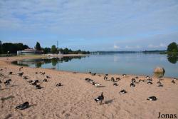 Helsinki