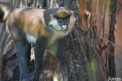 Leningradsky Zoo