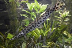 Leningradsky Zoo