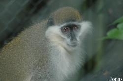 Tierpark Bad Pyrmont