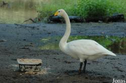 Tierpark Bad Pyrmont