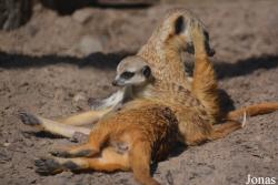 Leningradsky Zoo