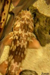 Sankt-Peterburg Oceanarium