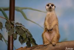 Sankt-Peterburg EKzoopark RIO