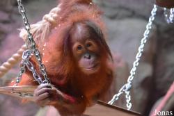 Sankt-Peterburg EKzoopark RIO