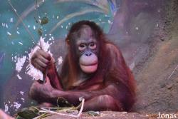 Sankt-Peterburg EKzoopark RIO