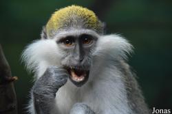 Sankt-Peterburg EKzoopark RIO