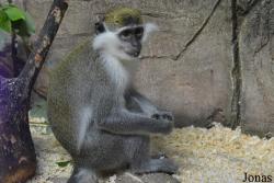 Sankt-Peterburg EKzoopark RIO