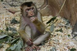 Sankt-Peterburg EKzoopark RIO