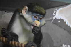 Sankt-Peterburg EKzoopark RIO
