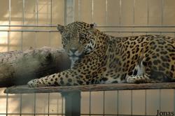 Tierpark Bad Pyrmont