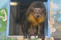 Sankt-Peterburg EKzoopark RIO