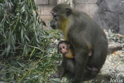 Sankt-Peterburg EKzoopark RIO