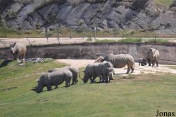 San Diego Zoo Safari Park