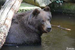 Zoo de La Flèche