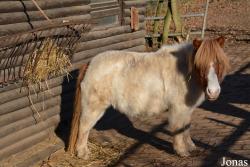 Tierpark Niederfischbach