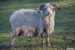Tierpark Niederfischbach