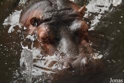 Kharkiv Zoo