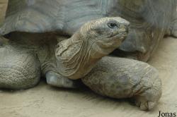 Erlebnis-Zoo Hannover