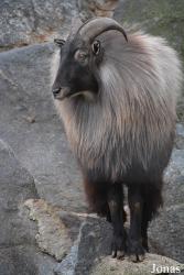 Tiergarten Schönbrunn