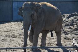 Knies Kinderzoo