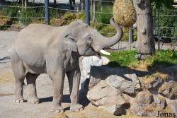 Knies Kinderzoo