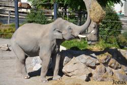 Knies Kinderzoo