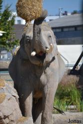Knies Kinderzoo