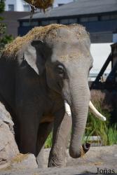 Knies Kinderzoo