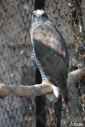 Sofia Zoo