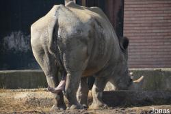 Sofia Zoo