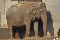 Sofia Zoo